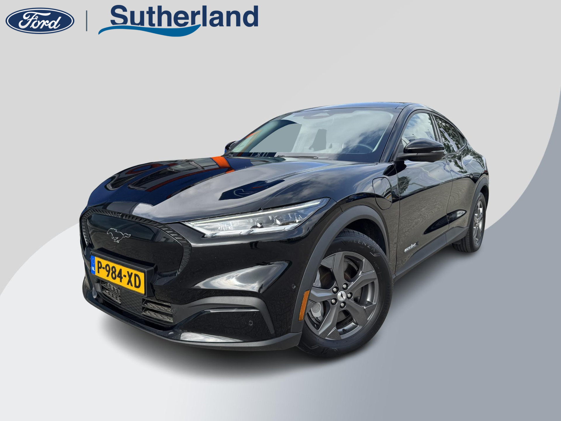 Ford - Mustang
