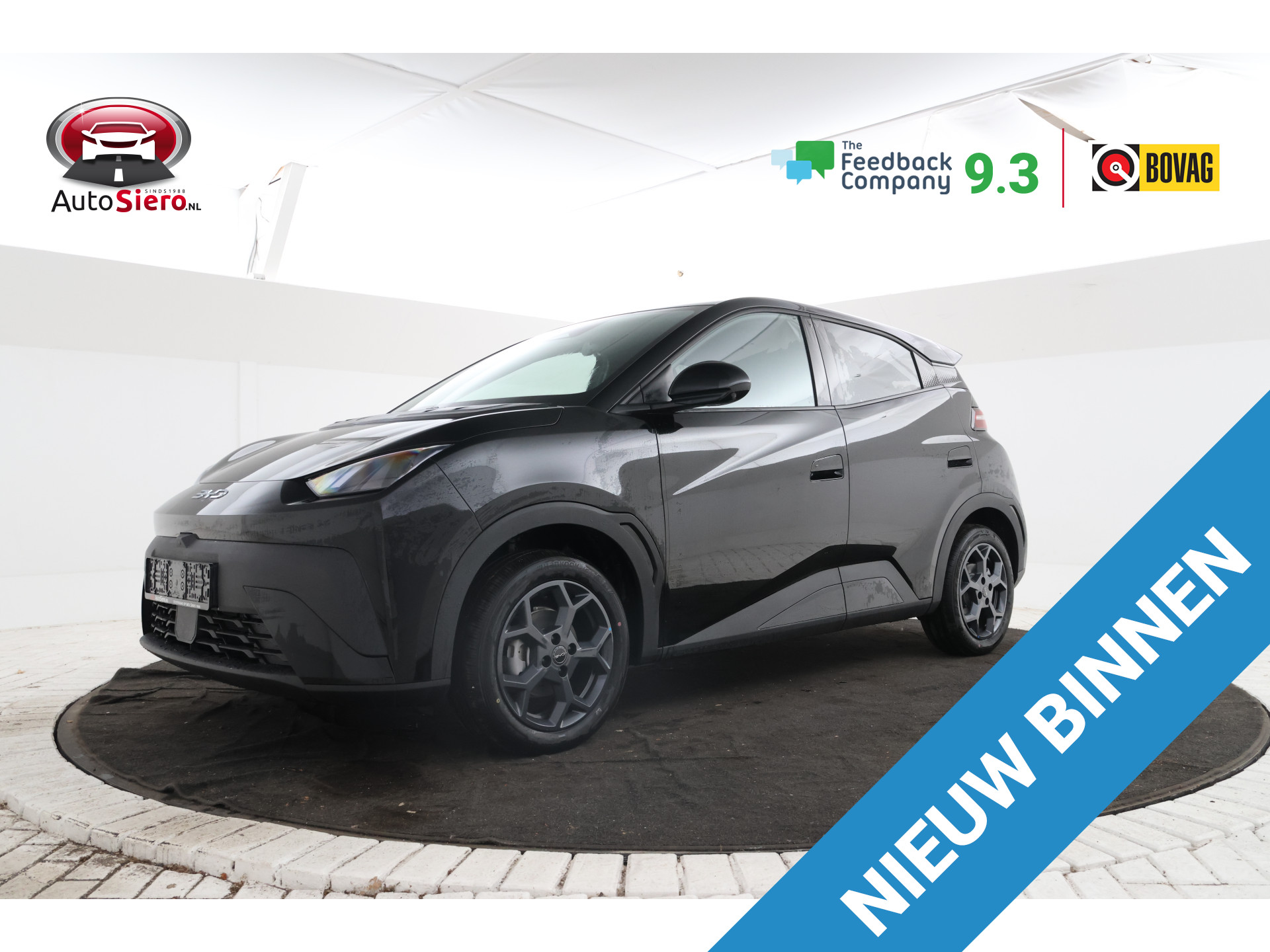 BYD Dolphin Surf