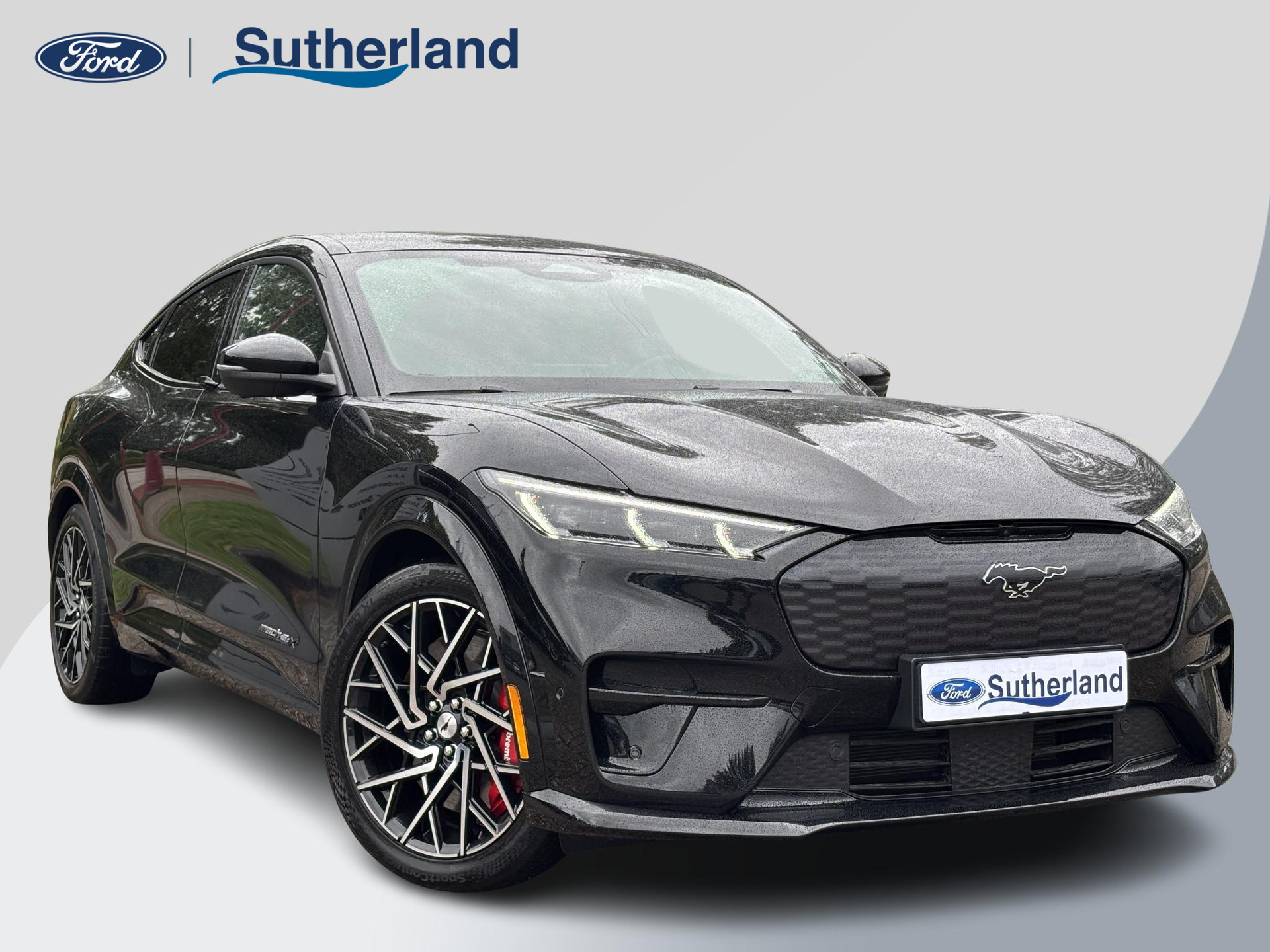 Ford - Mustang