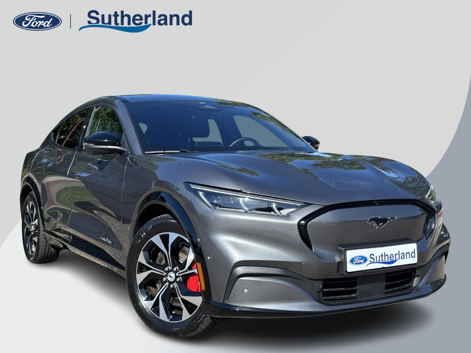 Ford - Mustang